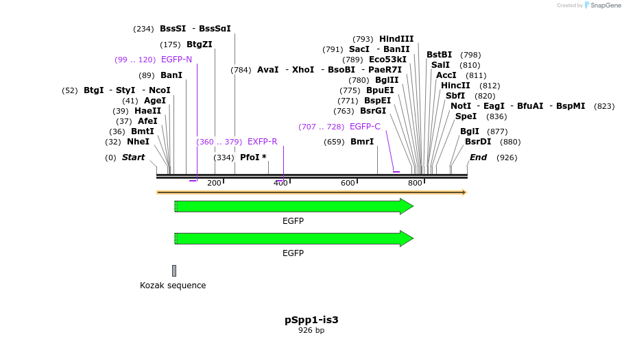 93194_map