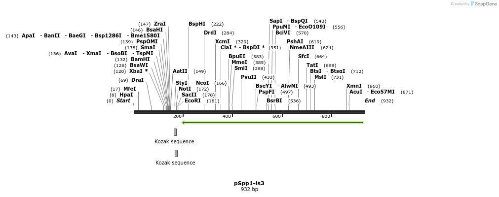 93196_map