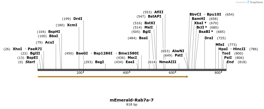 93202_map
