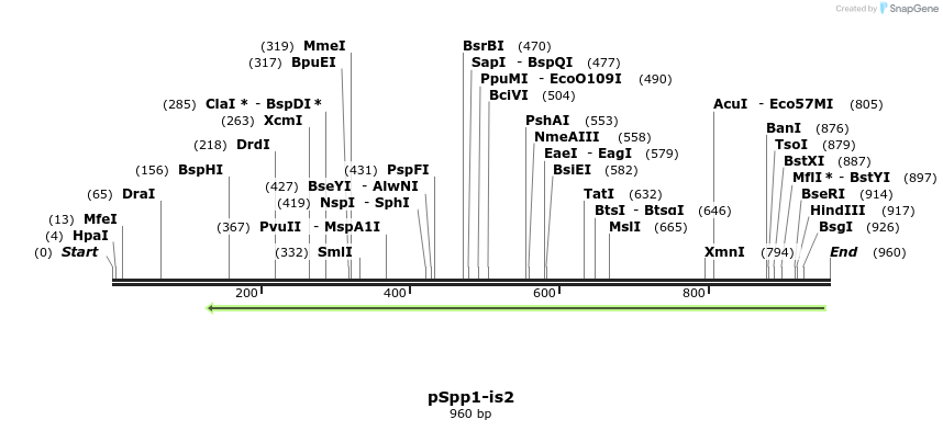 93203_map