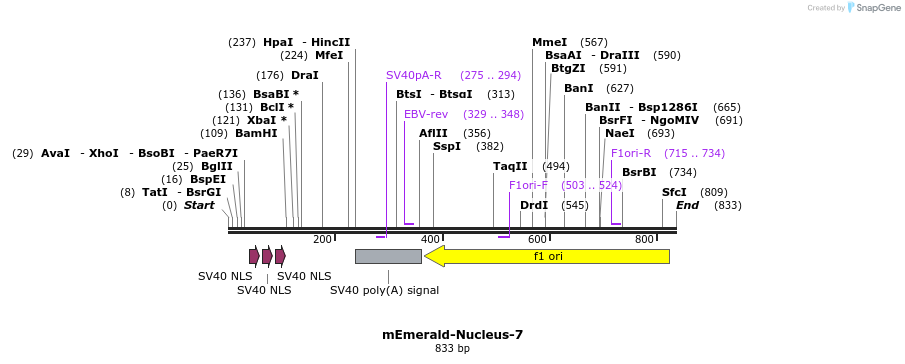 93204_map