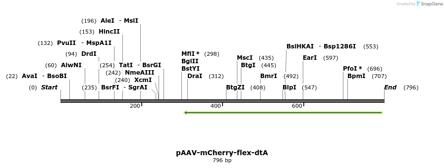 93206_map