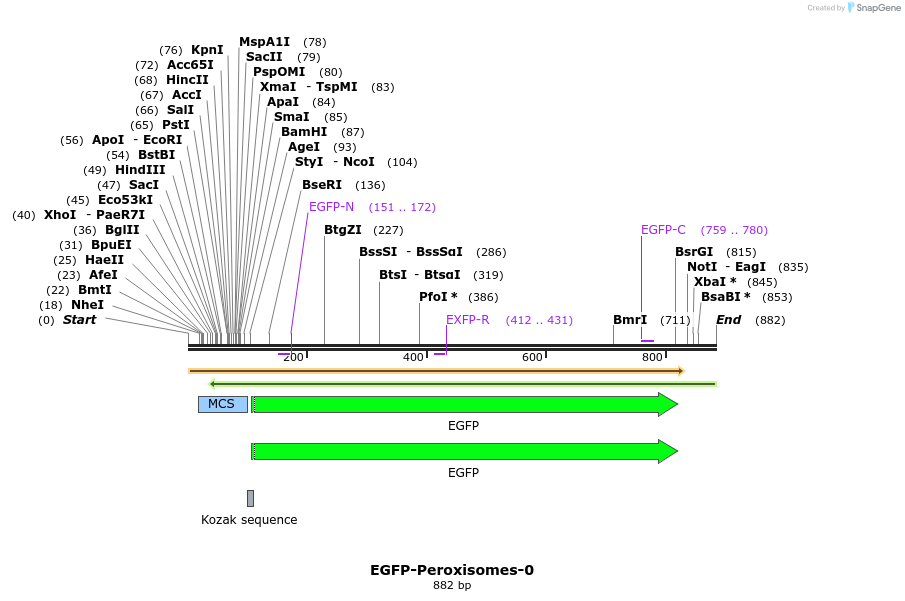 93210_map