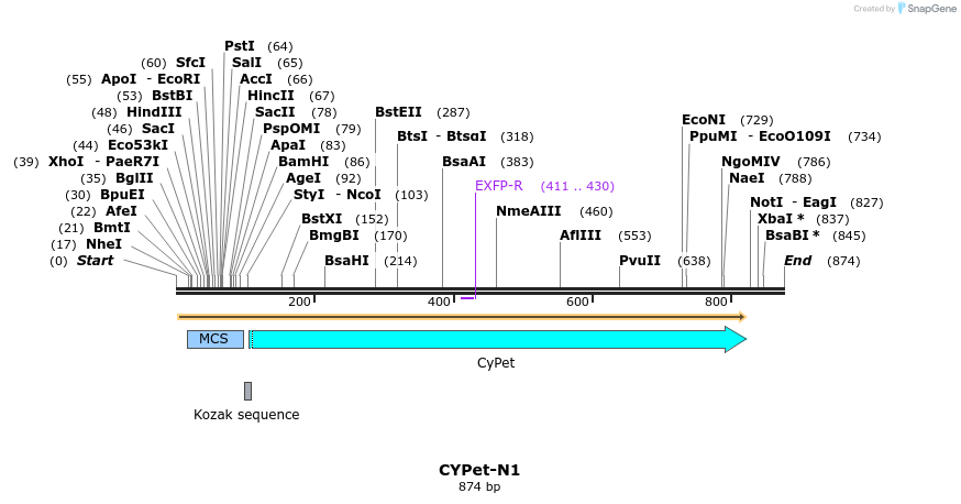 93212_map