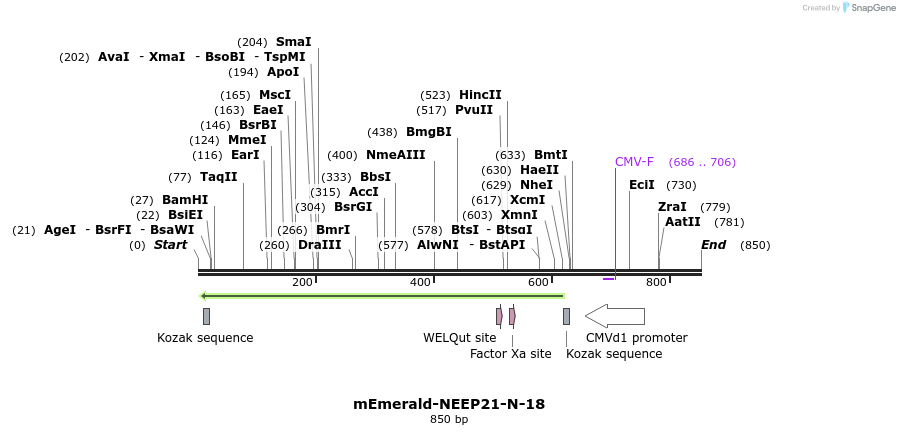 93215_map