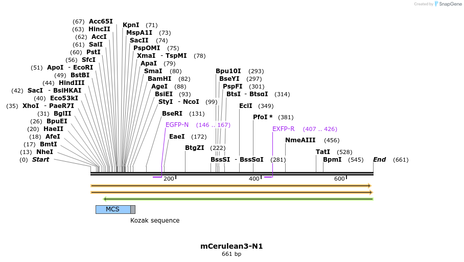 93217_map