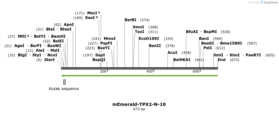 93218_map
