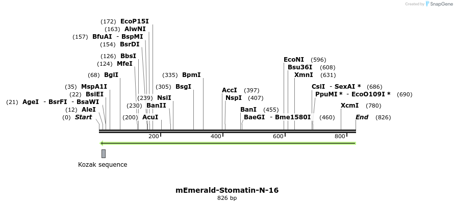 93219_map