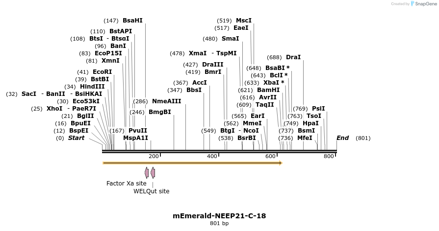 93222_map