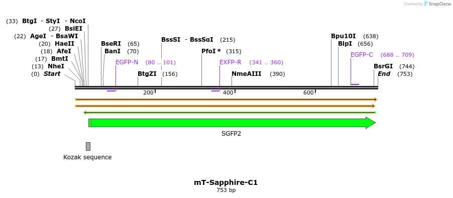 93225_map
