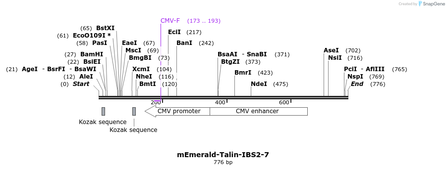 93228_map