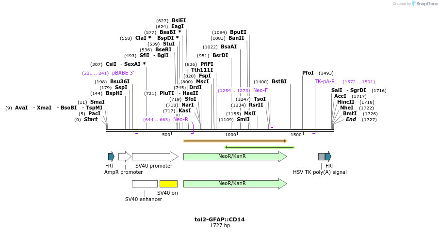 93231_map