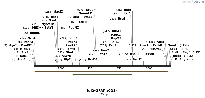 93232_map