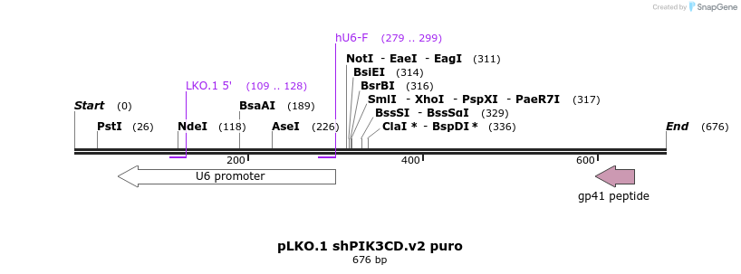 93236_map