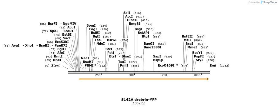 93238_map