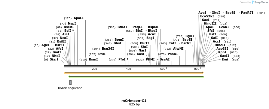 93241_map