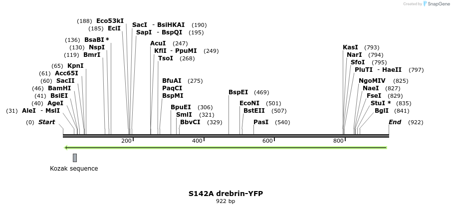 93242_map