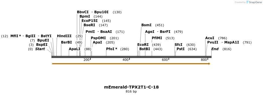 93243_map