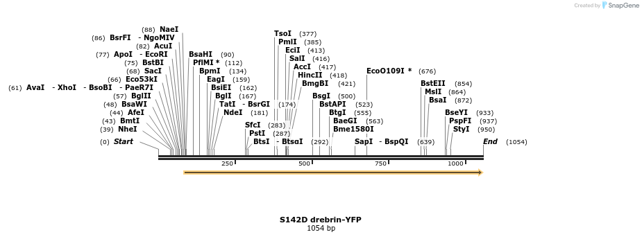 93247_map