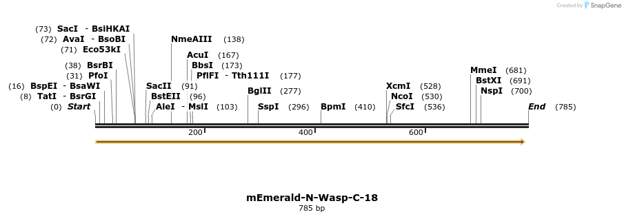 93252_map