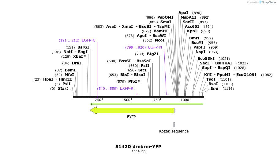 93253_map