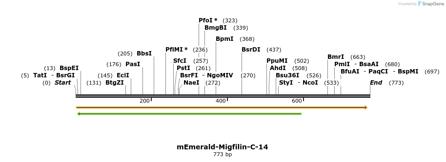 93255_map