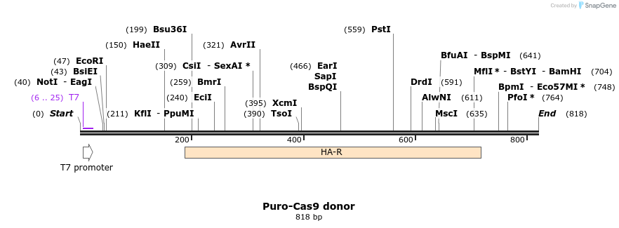 93258_map