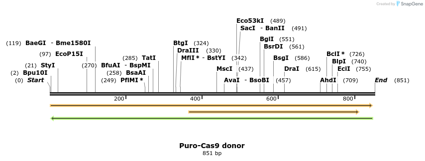 93273_map