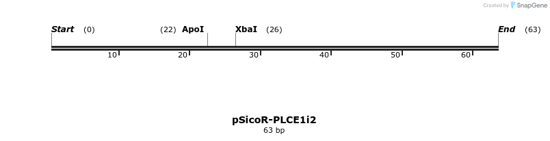 93306_map