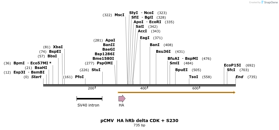 93314_map