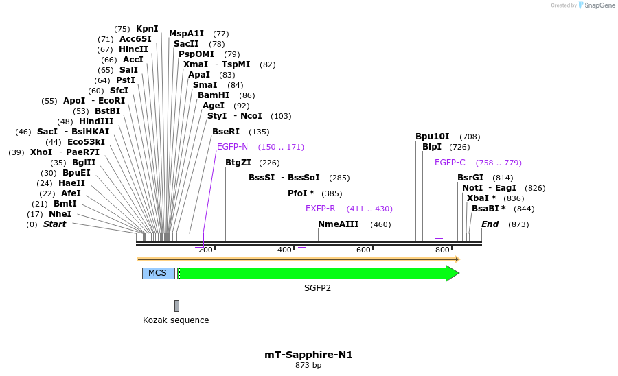 93316_map
