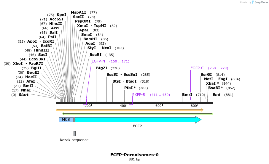 93317_map