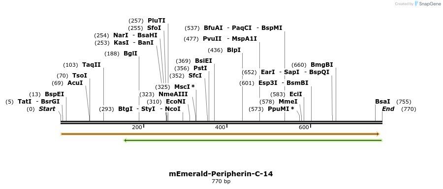 93318_map