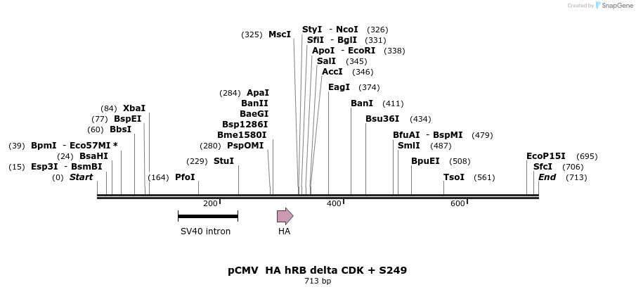 93319_map