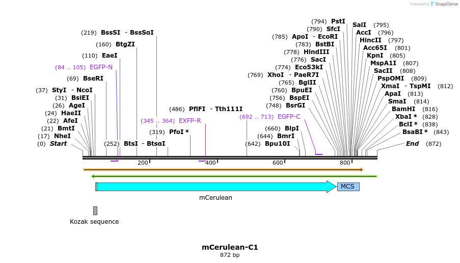 93330_map