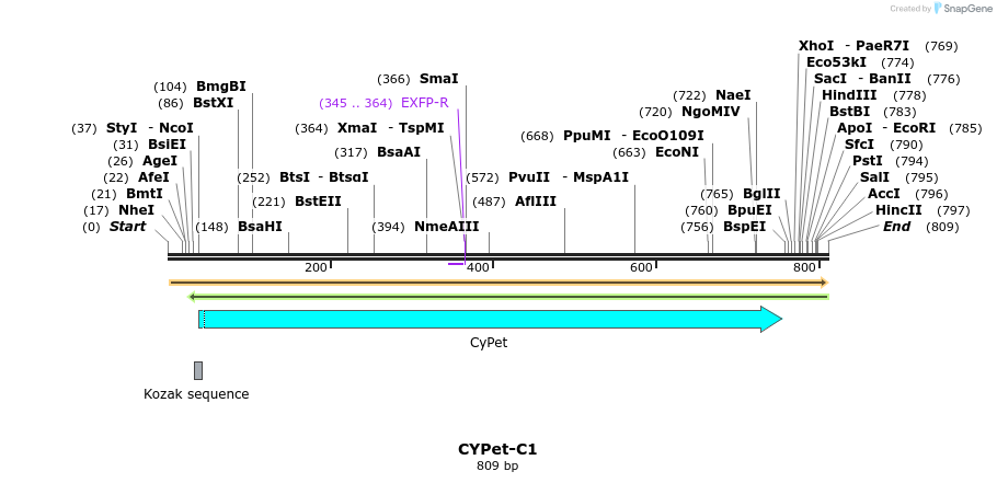 93331_map