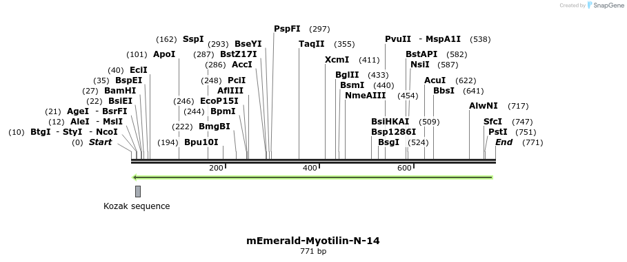 93338_map