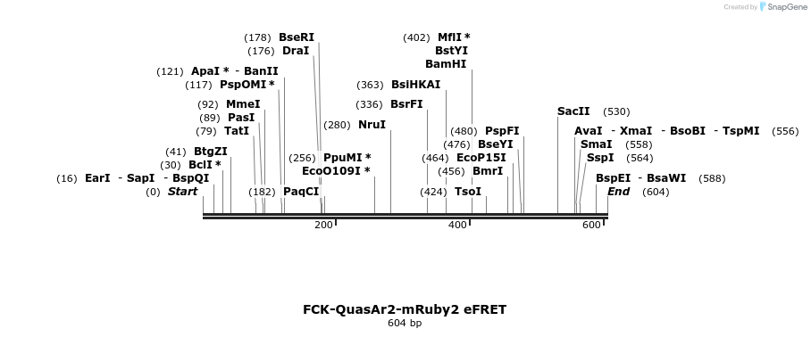 93348_map