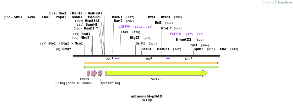 93350_map