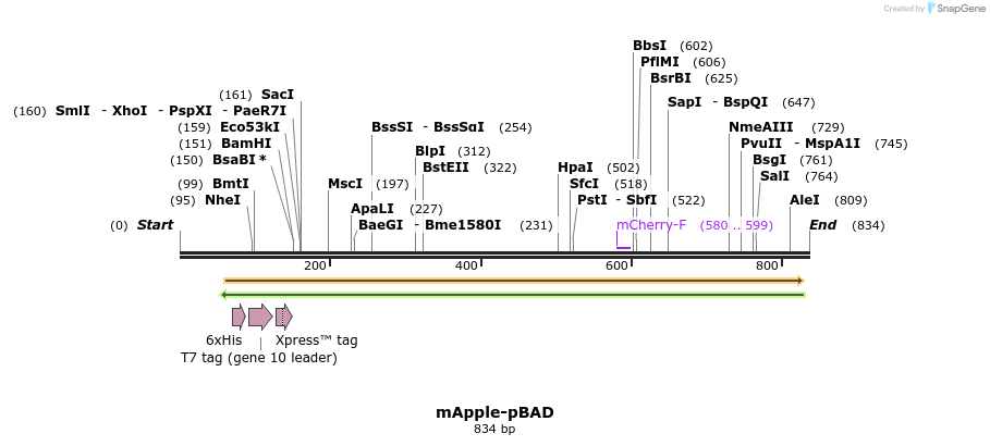 93352_map