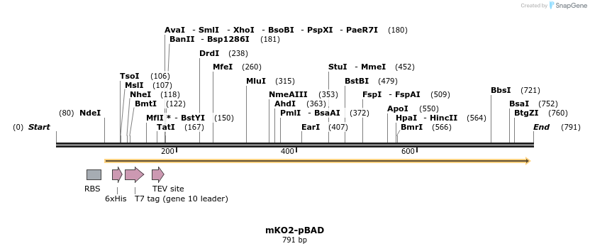 93363_map
