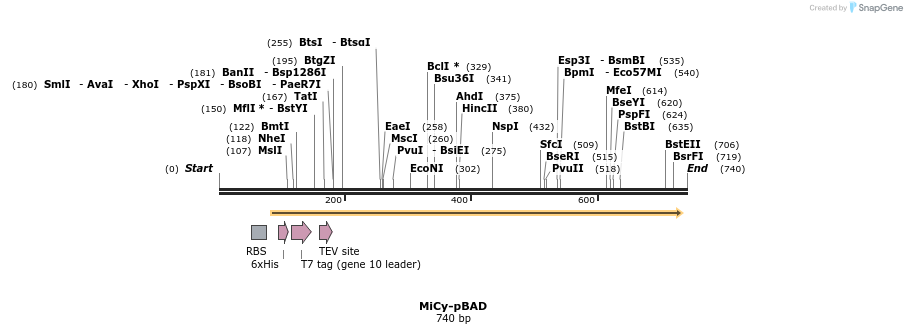 93367_map