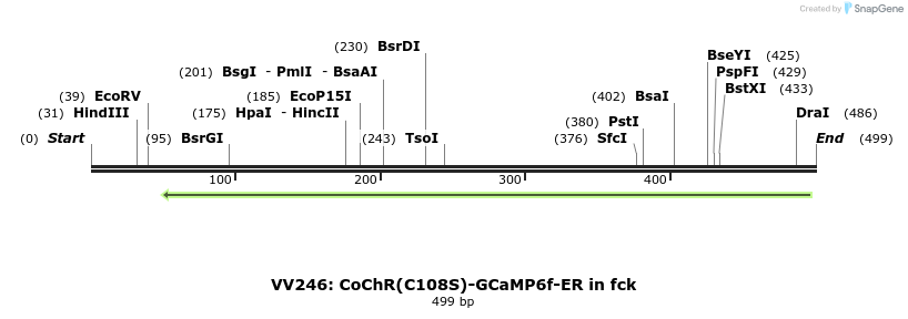 93370_map
