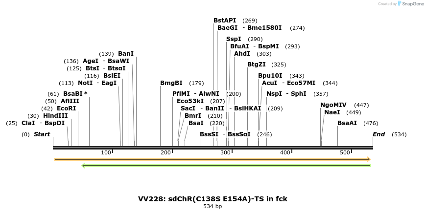 93373_map