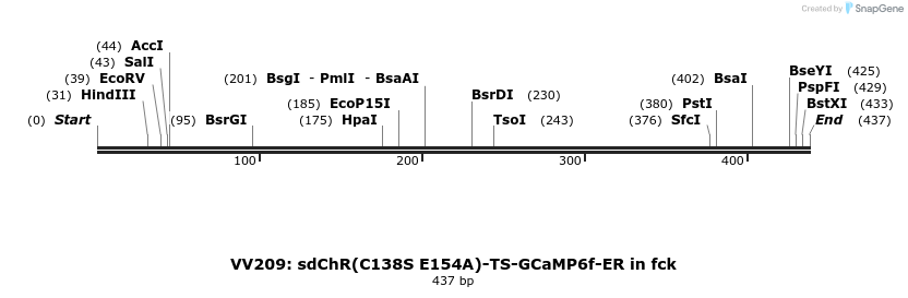 93375_map