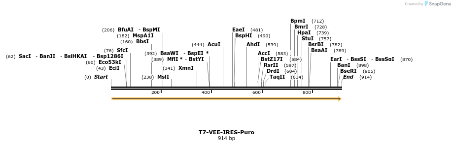 93376_map