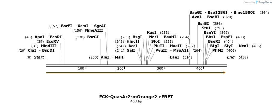 93381_map