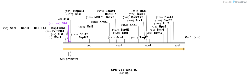 93390_map