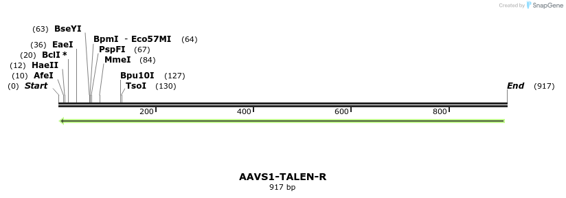93391_map