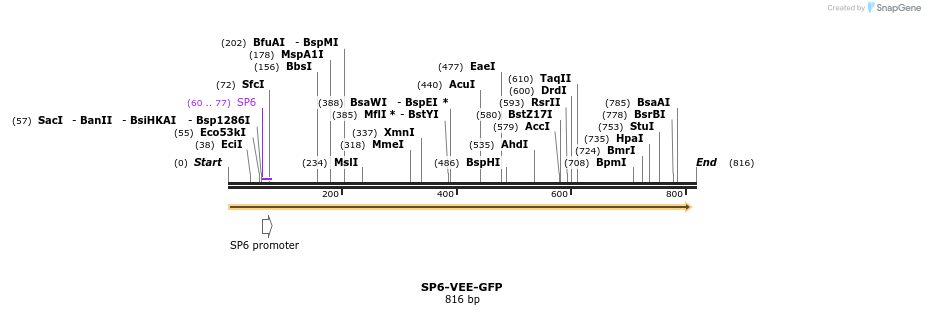 93392_map